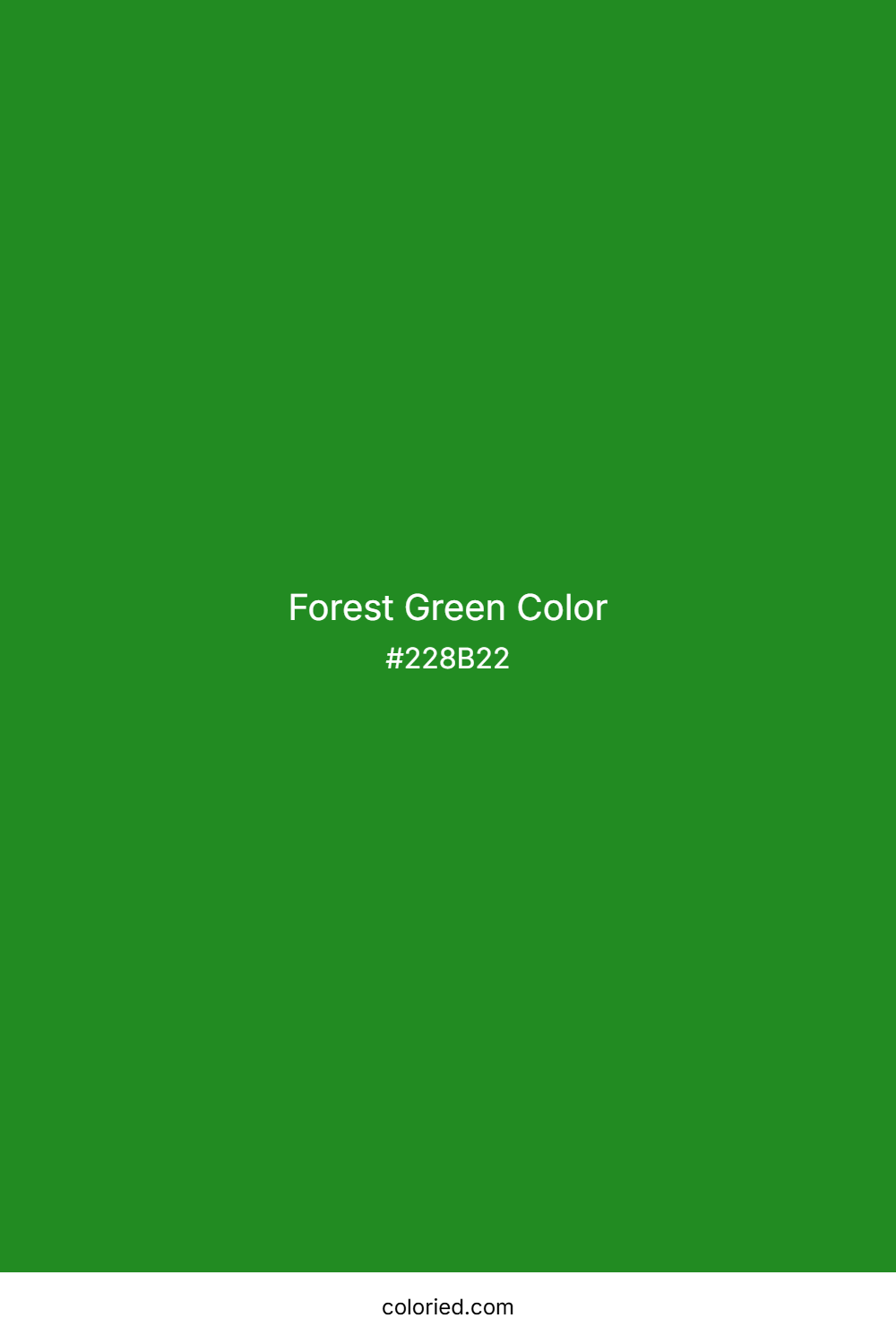 Forest Green Color