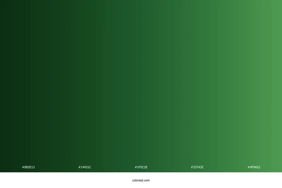 Forest Green Gradient