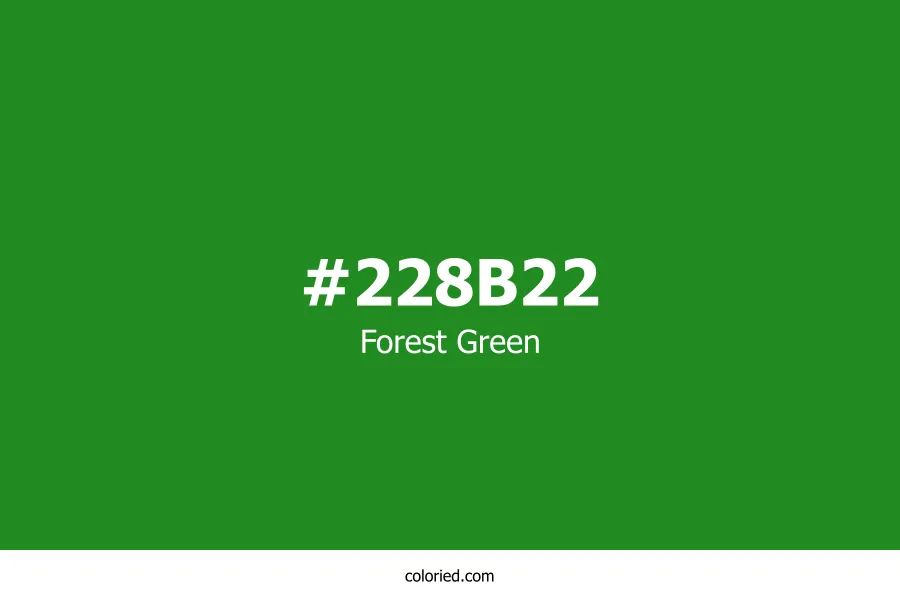 Forest Green Color Hex Code