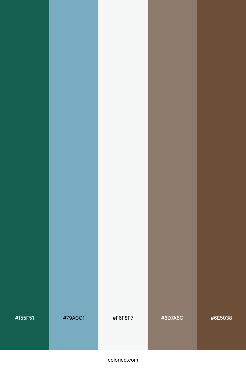 Forest Harbor Mist Color Palette