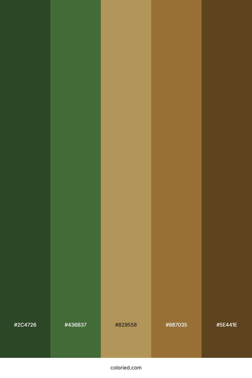 Forest Harvest Color Palette
