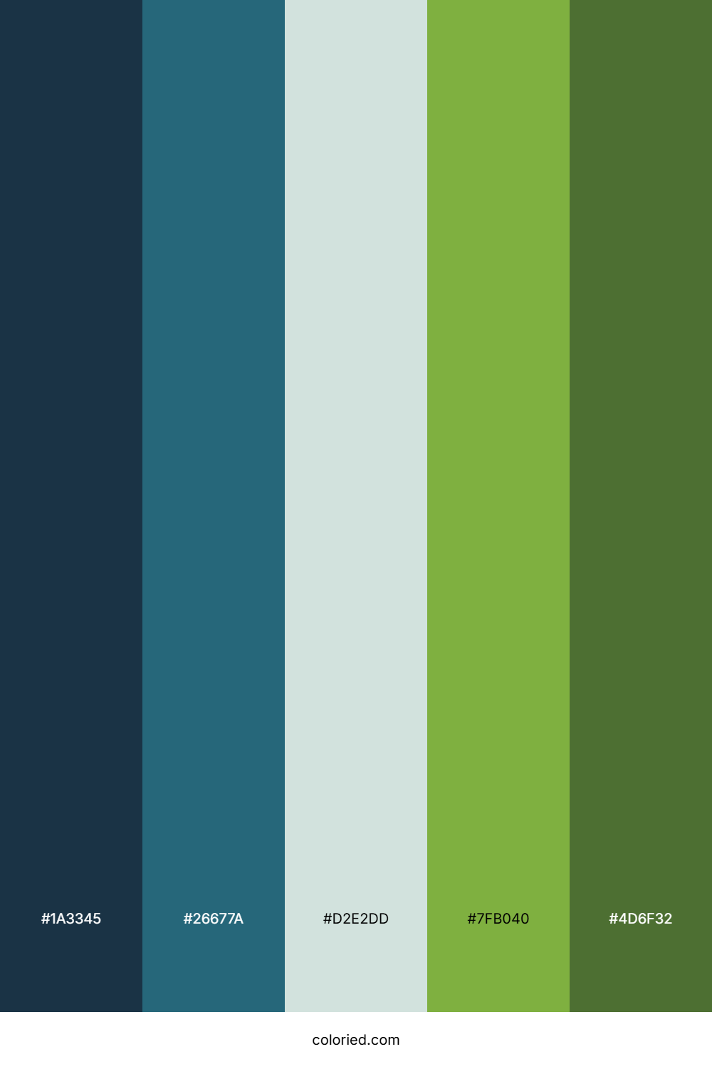Forest Lake Twilight Color Palette