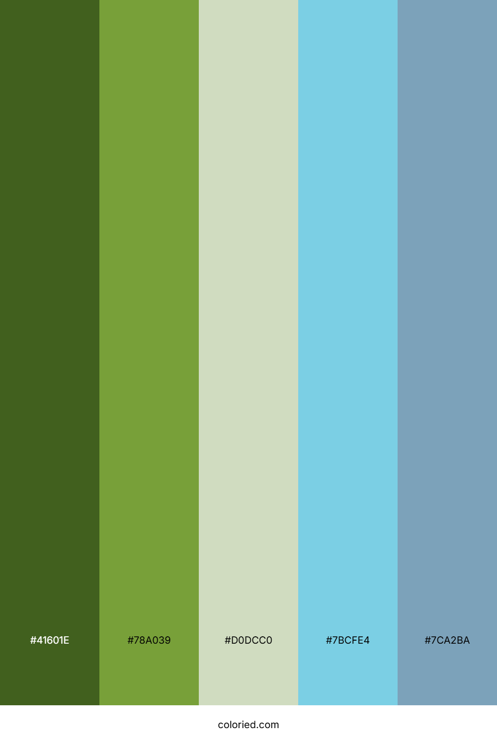 Forest Meadow Sky Color Palette
