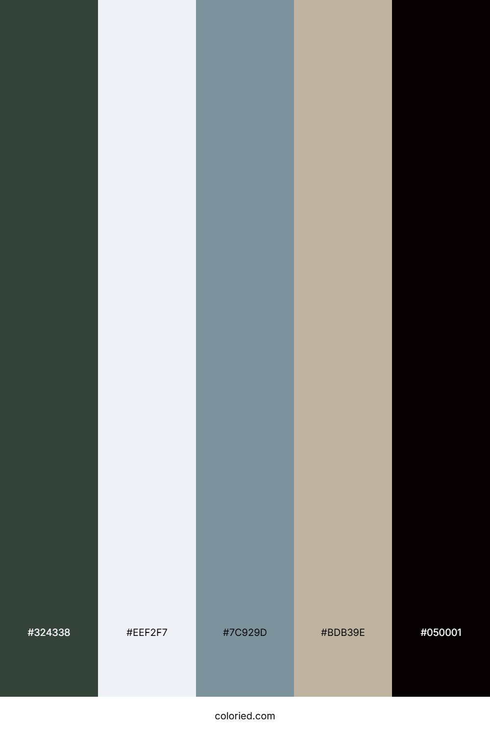 Forest Mist Whisper Color Palette
