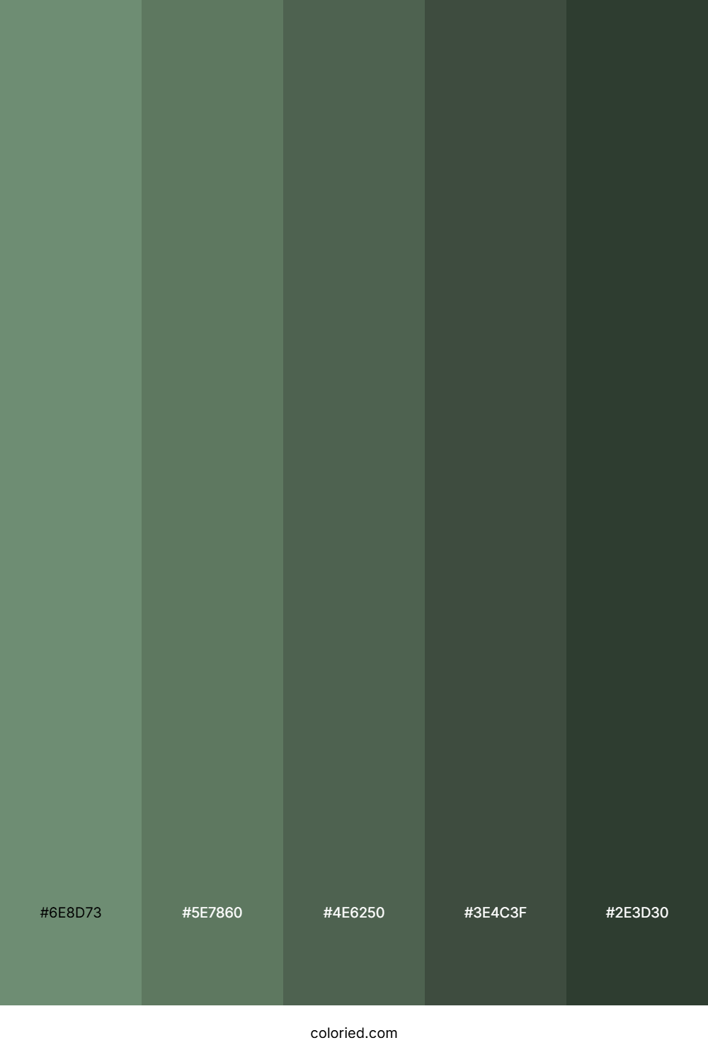 Forest Moss Earth Color Palette