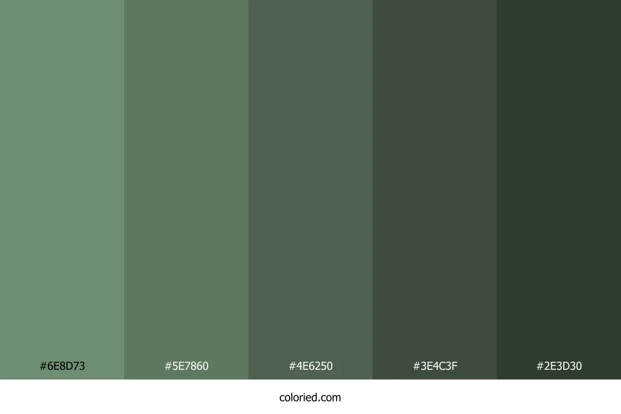 Forest Moss Earth Color Palette