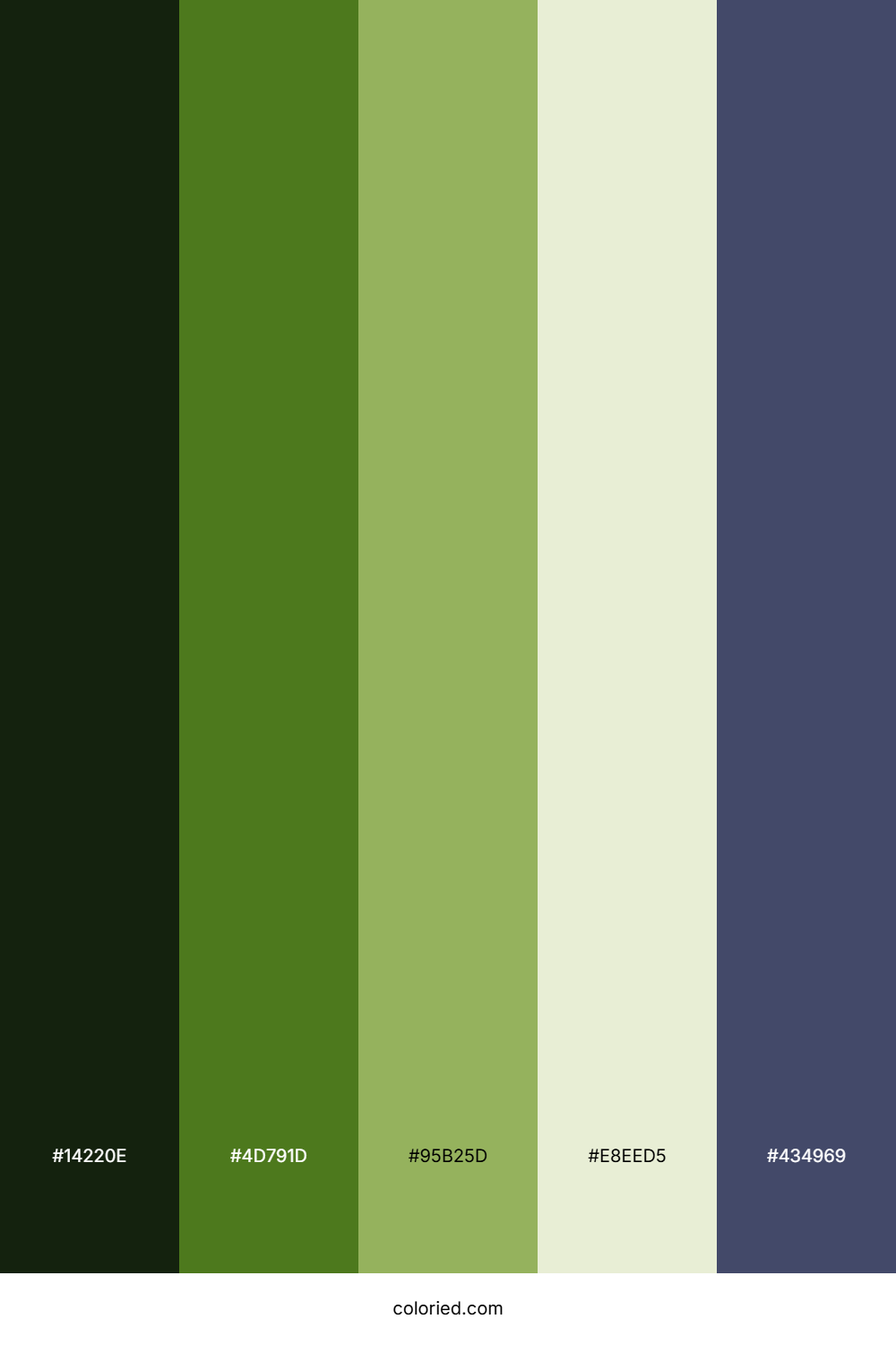 Forest Moss Horizon Color Palette