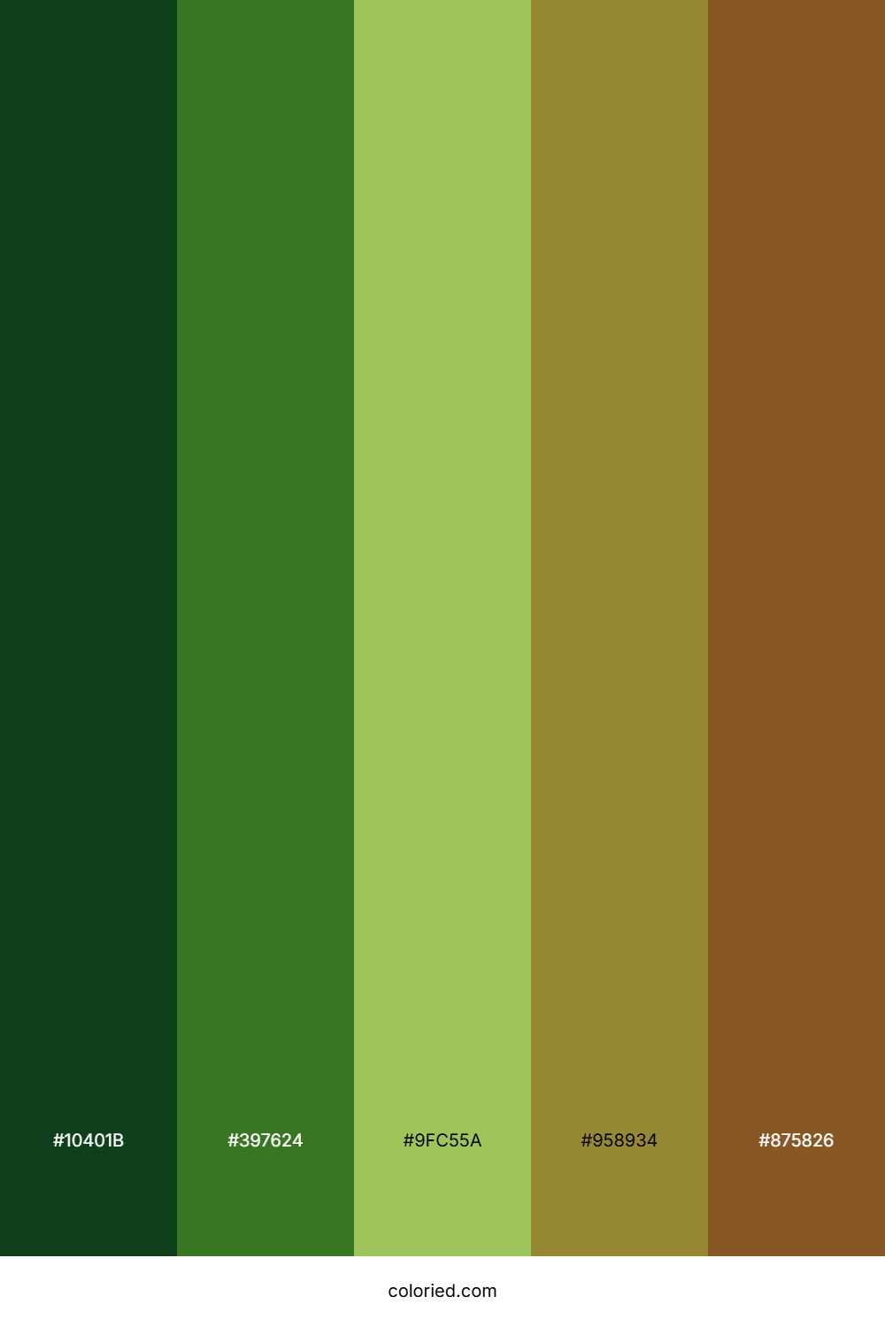 Forest Moss Trail Palette