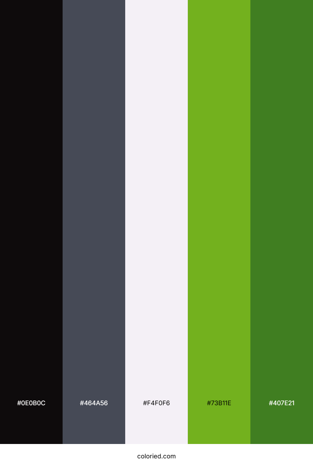 Forest Night Shadow Color Palette