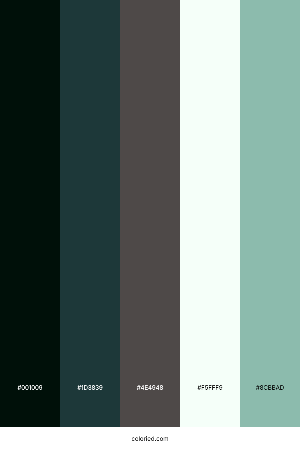 Forest Night Whisper Color Palette