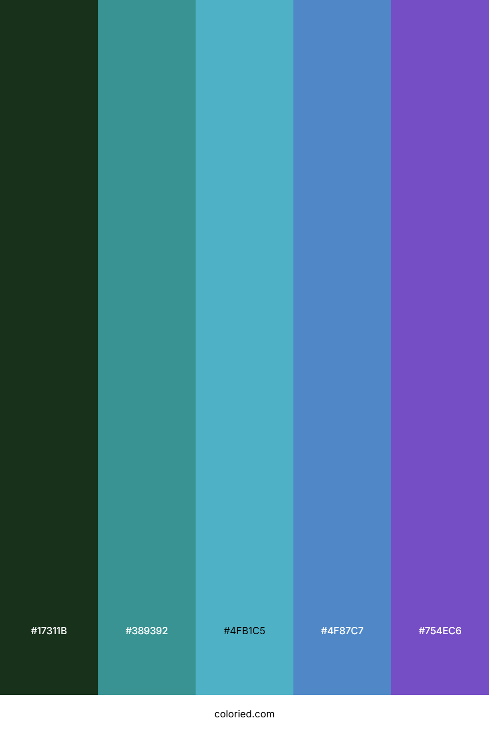 Forest River Blue Color Palette