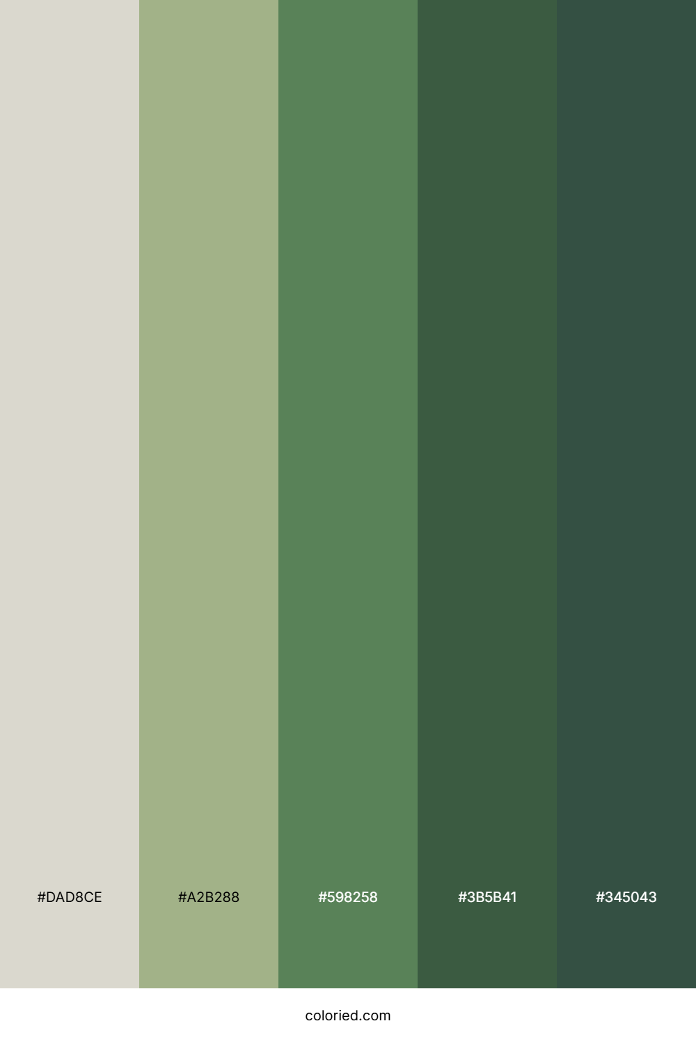 Forest Sage Shadow Palette