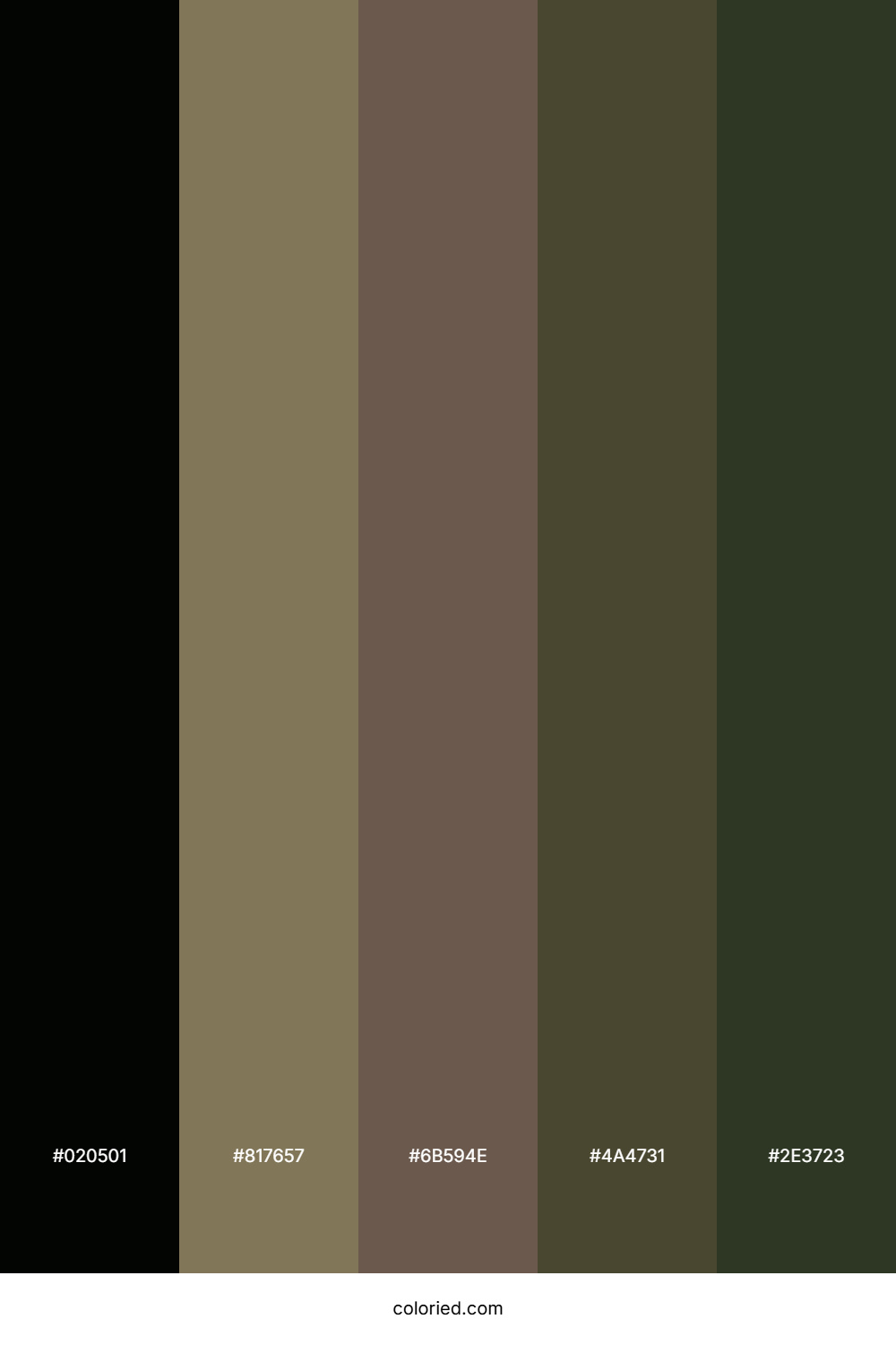 Forest Shadow Dusk Palette