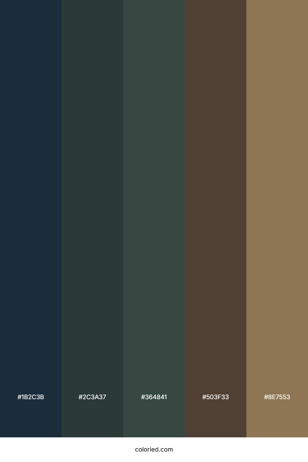 Forest Shadow Earth Color Palette