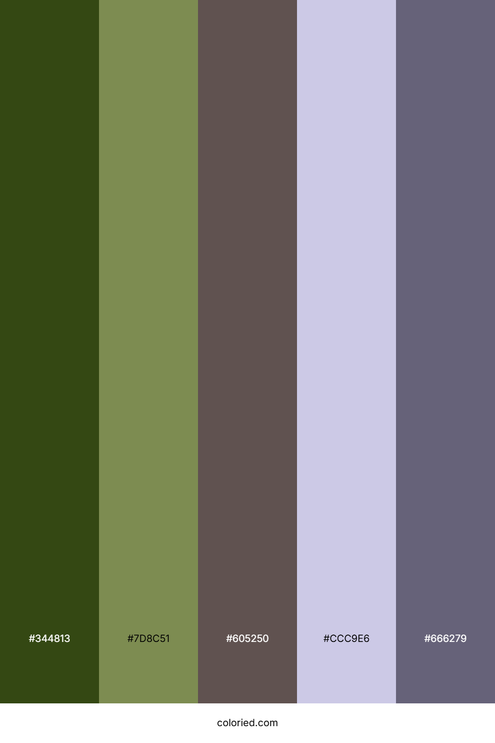 Forest Shadow Mist Palette