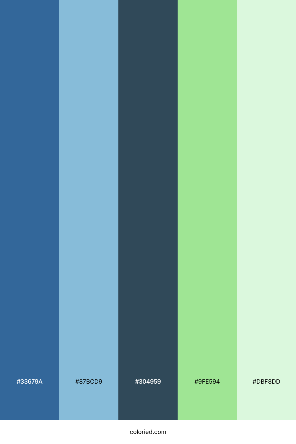Forest Stream Sky Color Palette