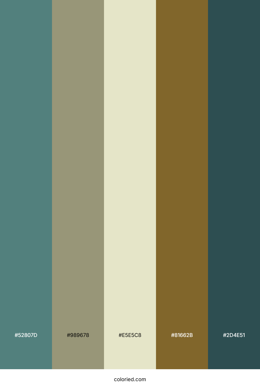 Forest Teal Dawn Color Palette