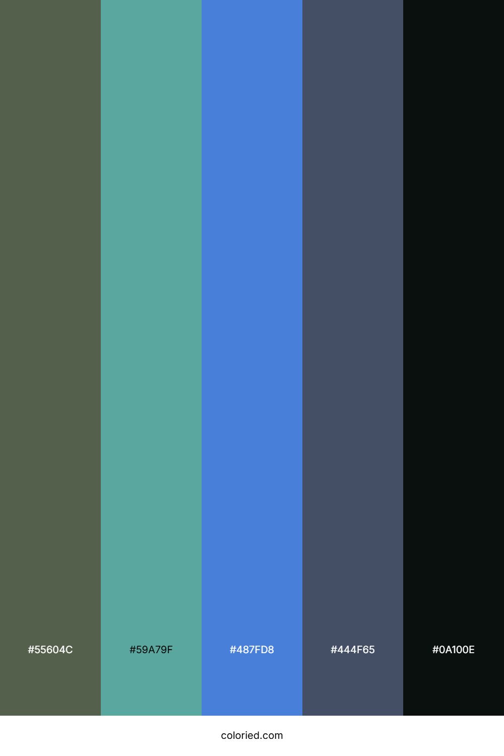 Forest Teal Twilight Palette