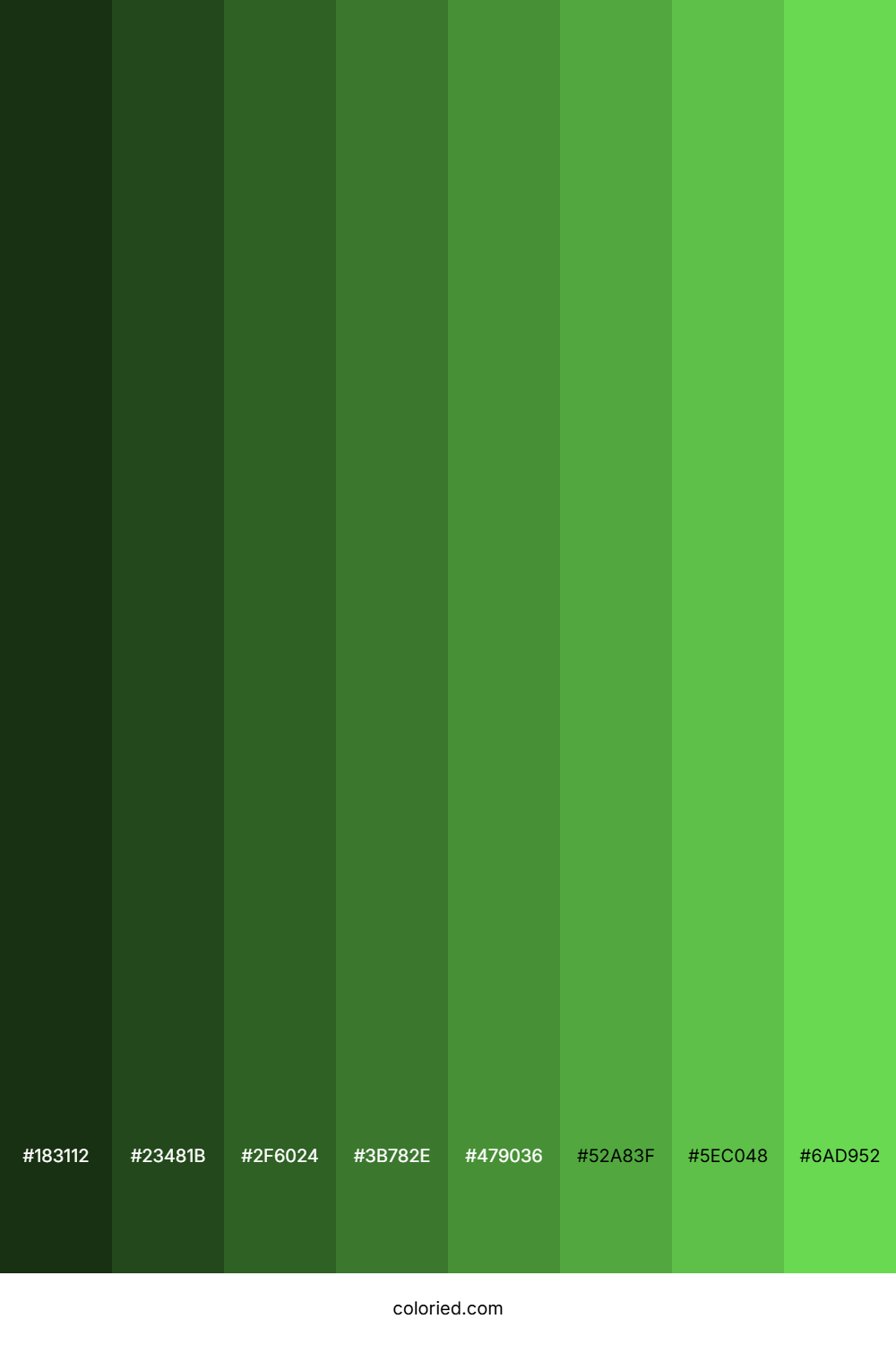 Fresh Green Color Shades