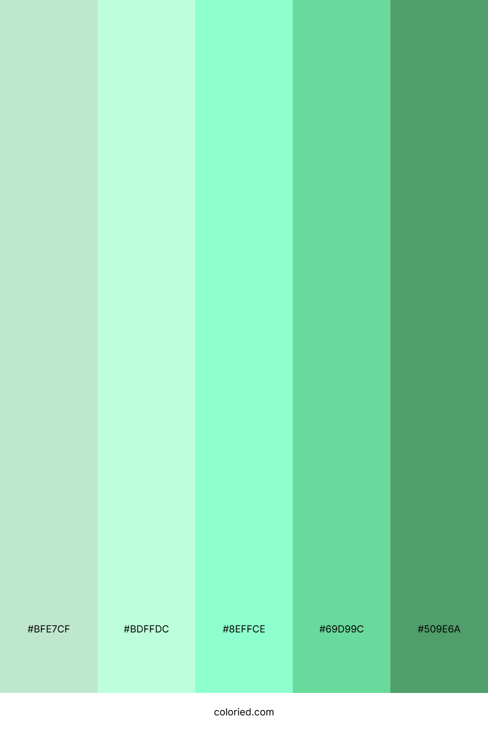 Fresh Mint Canopy Color Palette