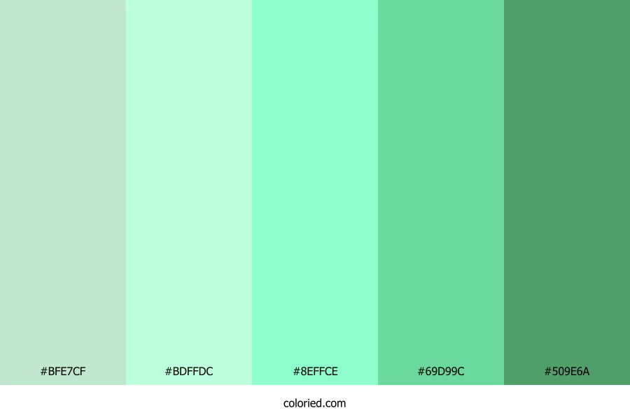 Fresh Mint Canopy Color Palette