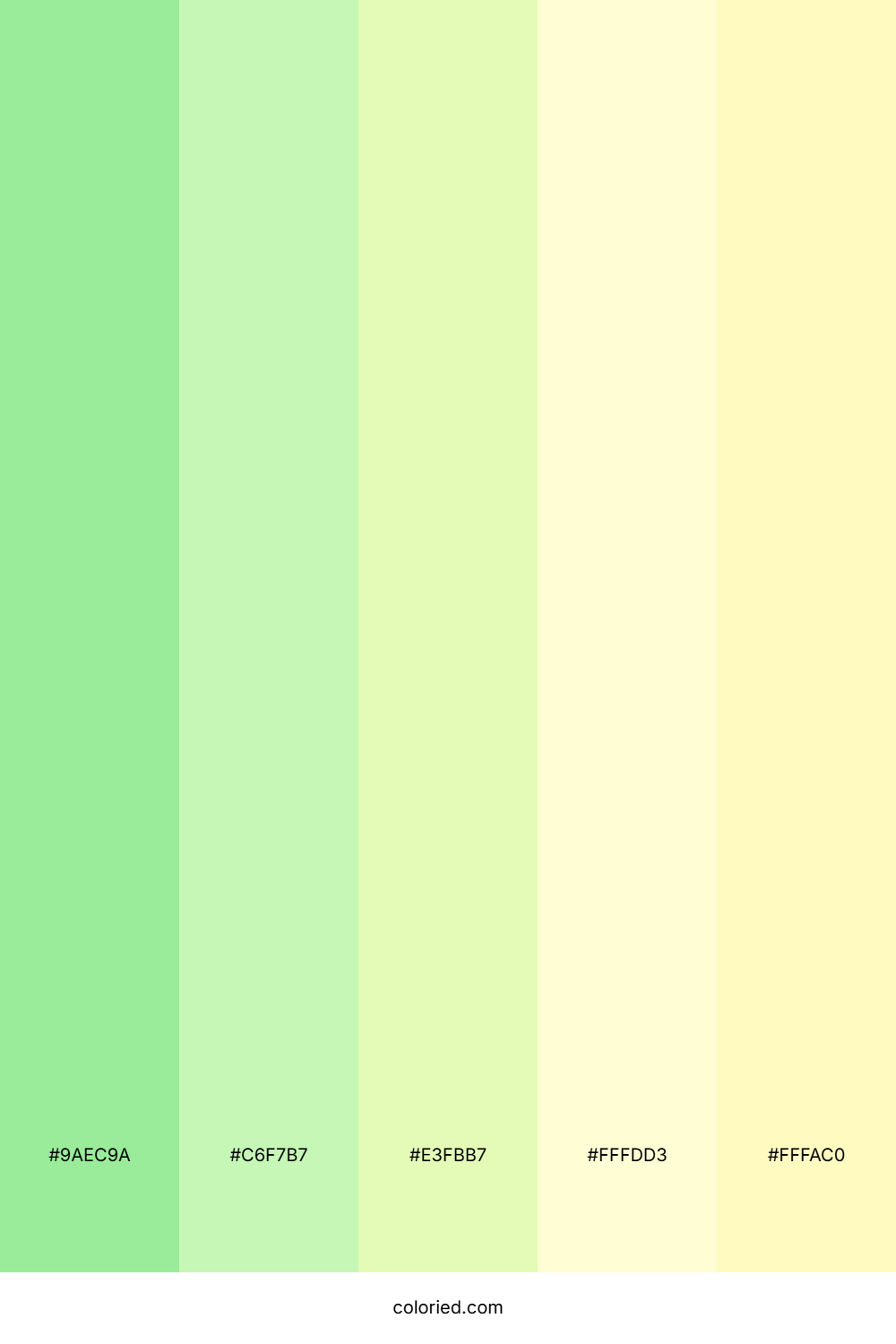Fresh Mint Garden Color Palette