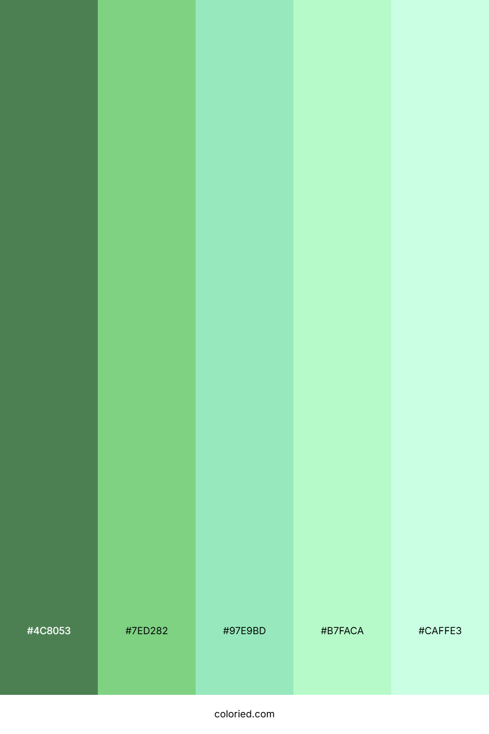 Fresh Mint Grove Color Palette