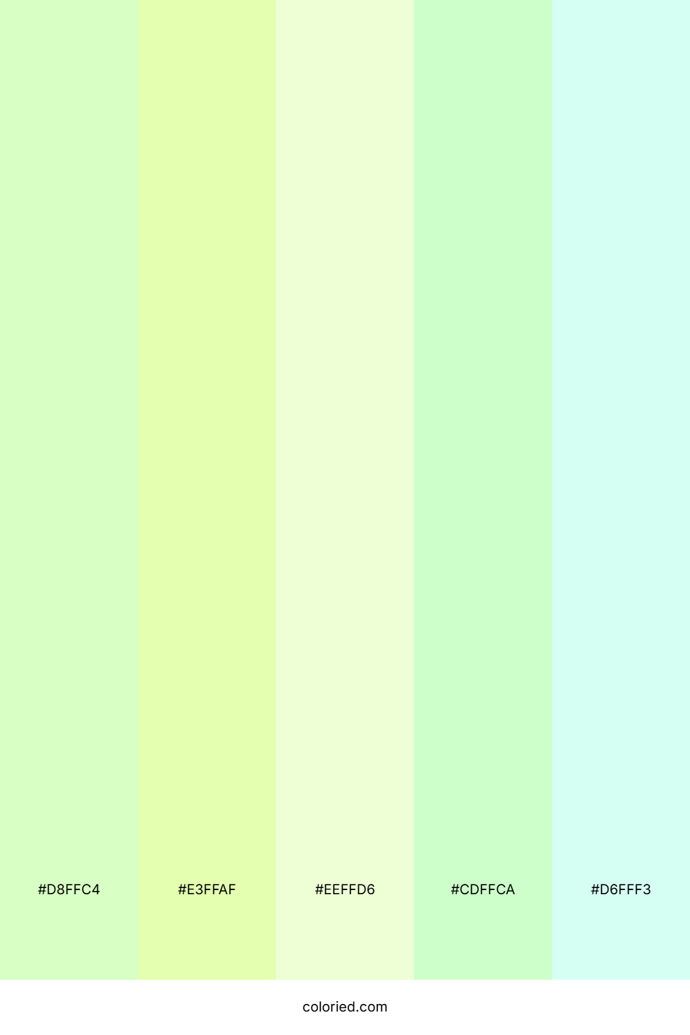 Fresh Mint Pastel Color Palette
