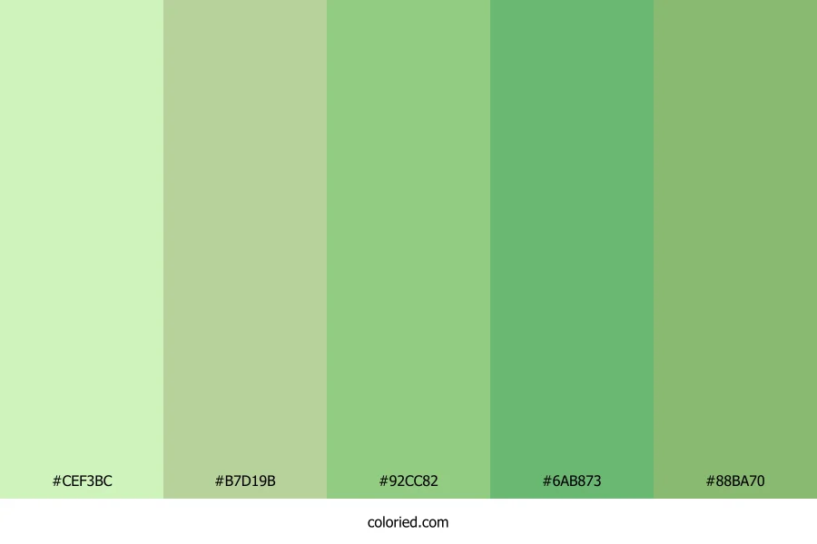 Fresh Spring Herb Color Palette