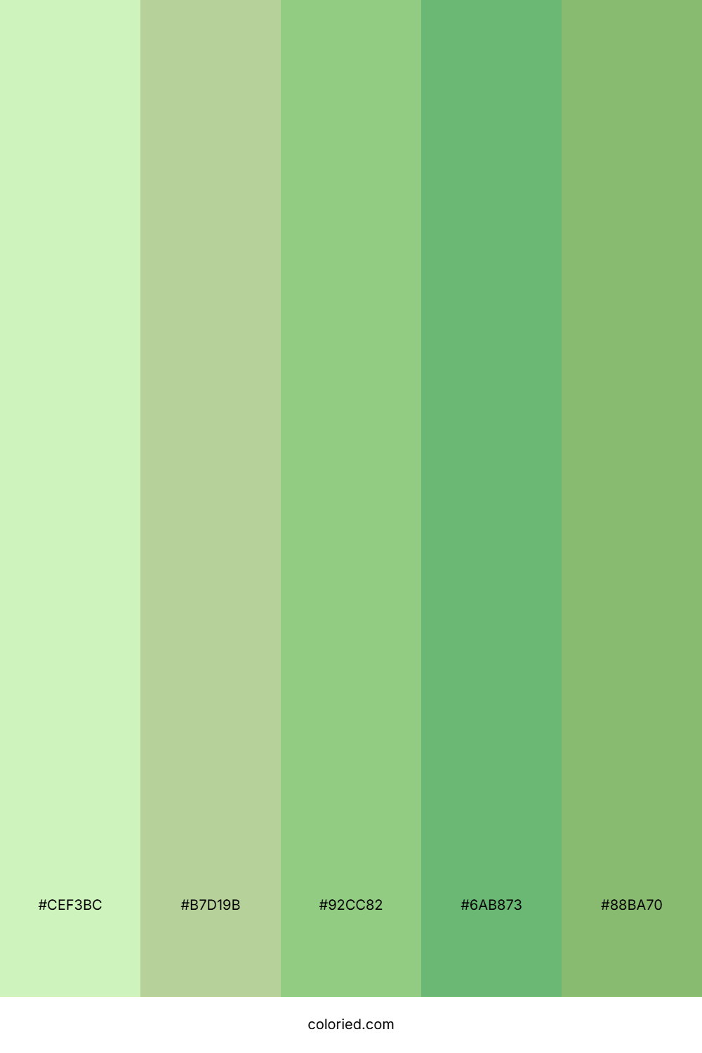 Fresh Spring Herb Palette