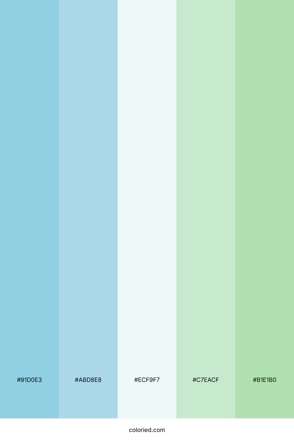 Fresh Spring Meadow Color Palette