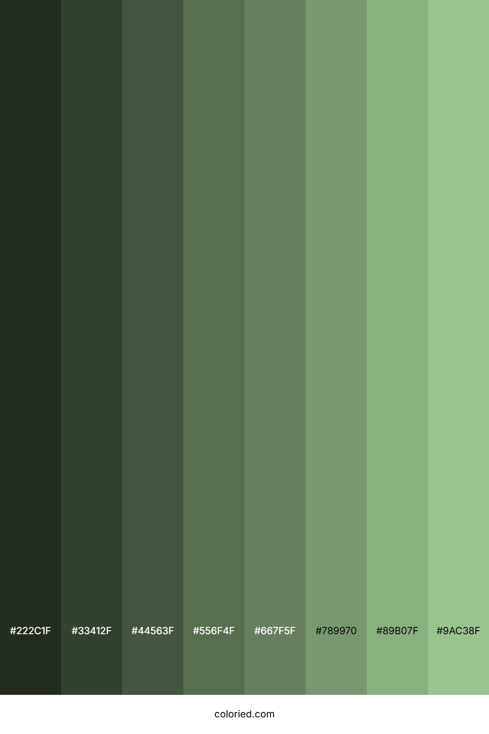 Frog Green Color Shades