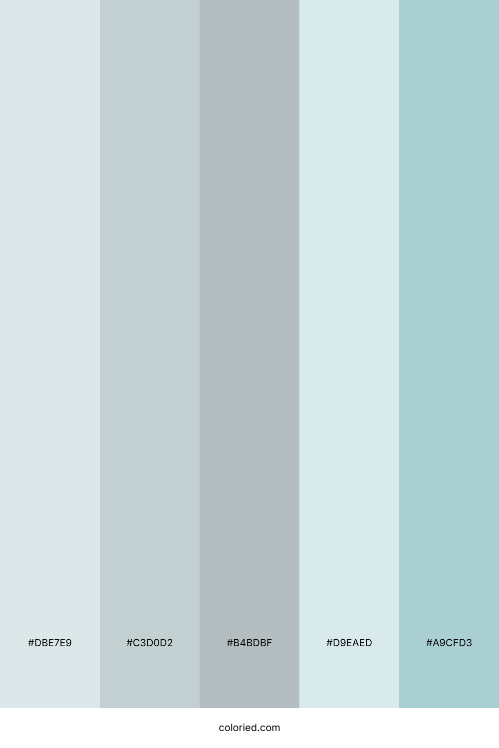 Frost And Mist Color Palette