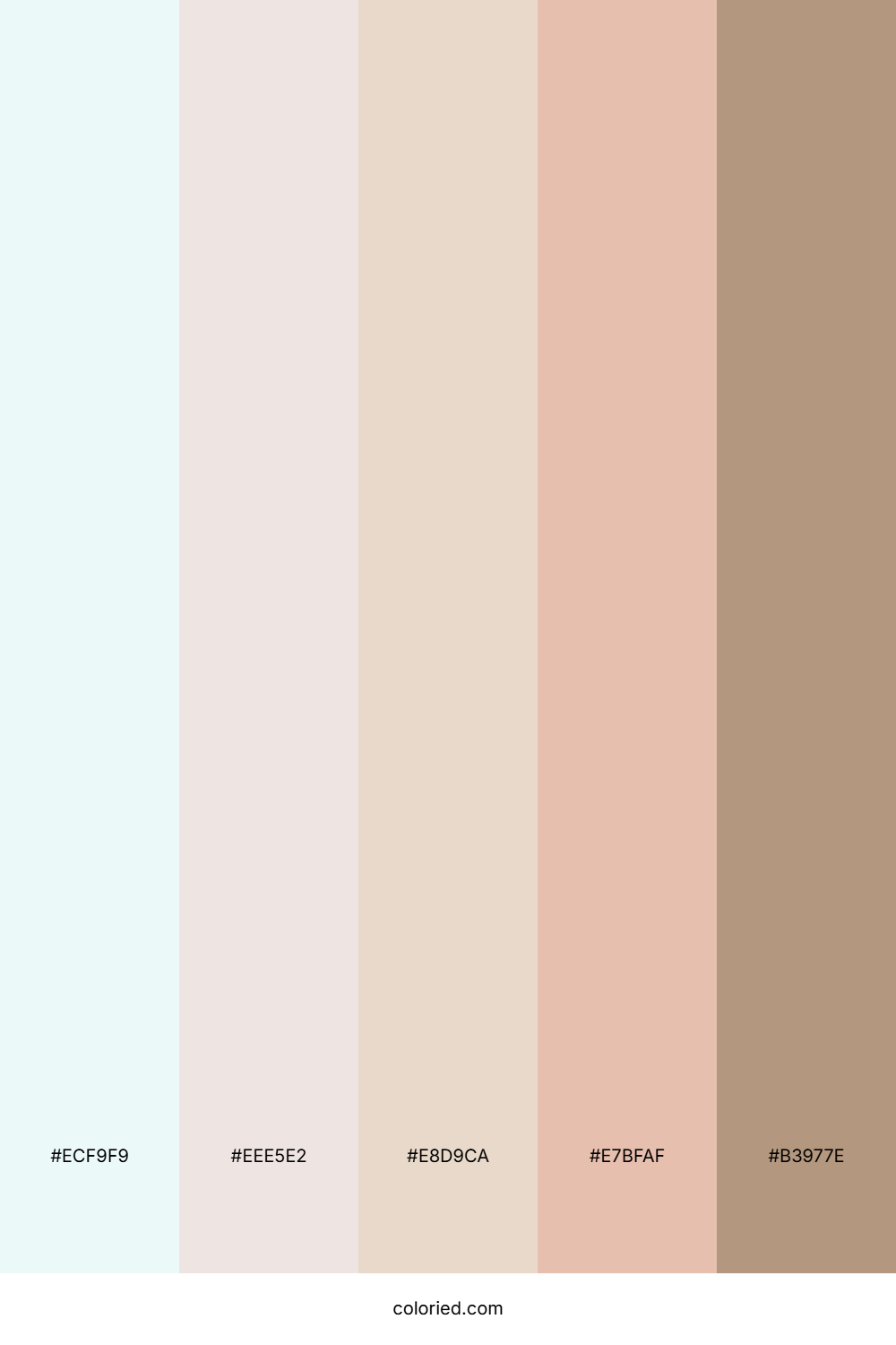 Frosted Almond Mist Color Palette