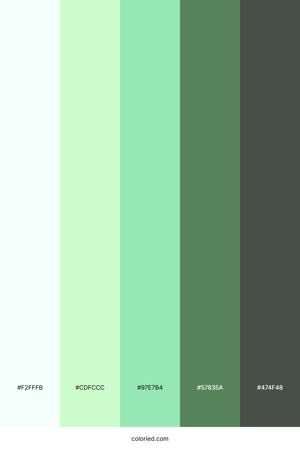 Frosted Mint Meadow Color Palette