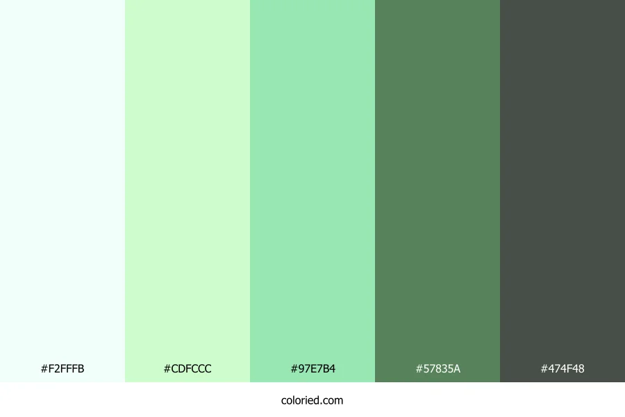 Frosted Mint Meadow Color Palette