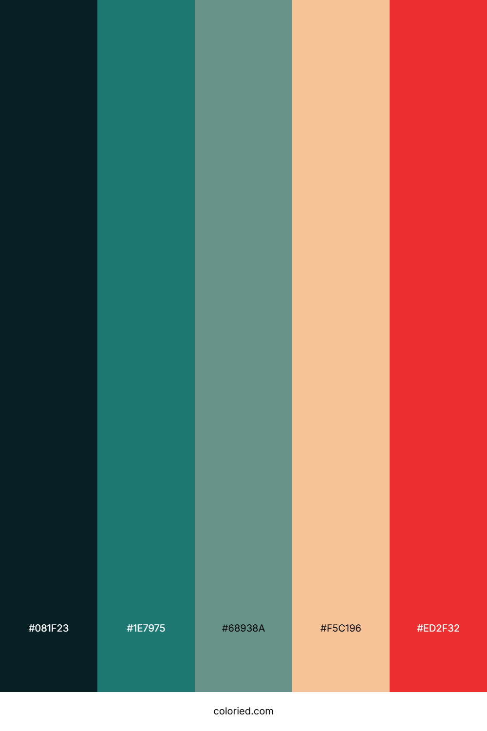 Frosted Pine Glow Color Palette