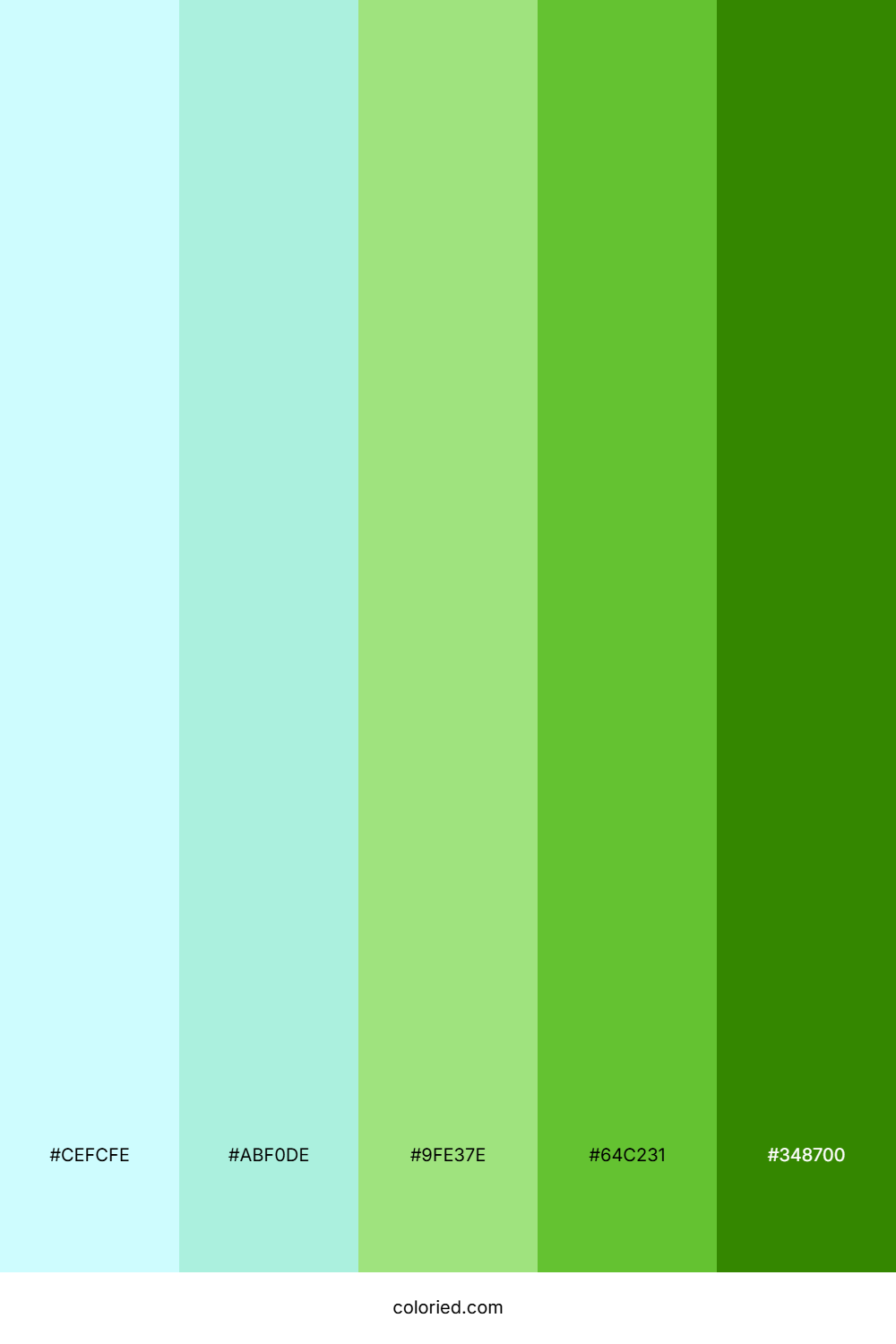 Frosted Pine Grove Palette