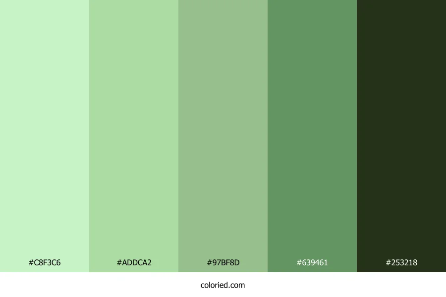 Frosted Sage Hollow Color Palette