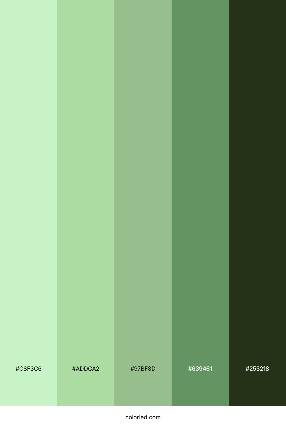 Frosted Sage Hollow Palette