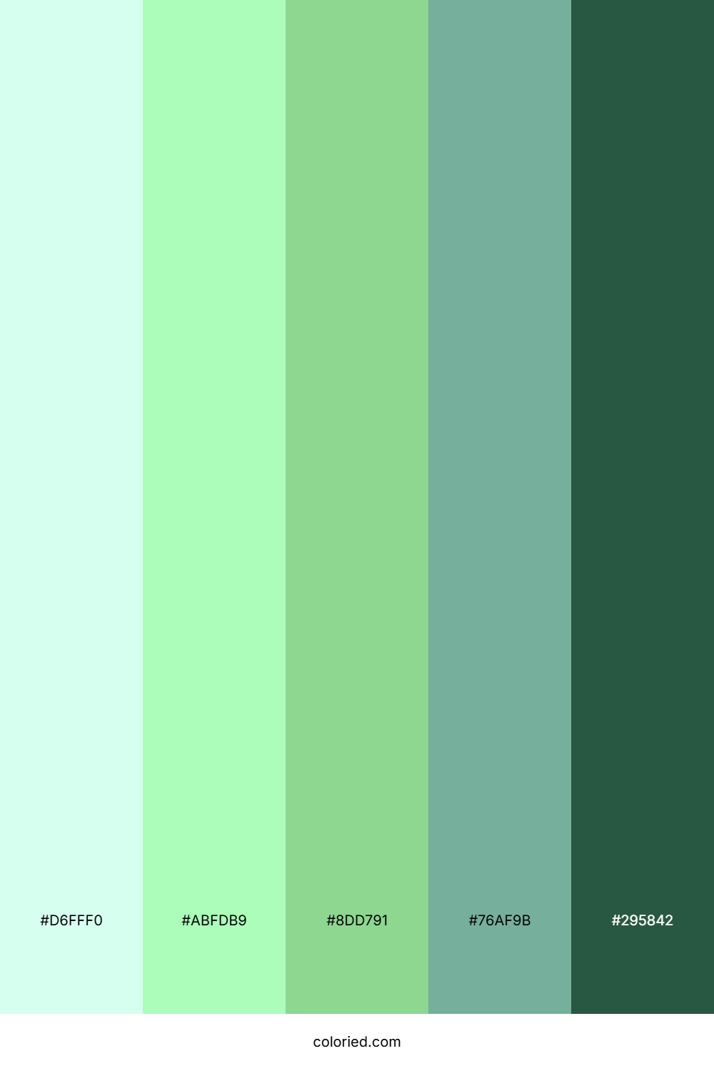 Frozen Fern Hollow Color Palette