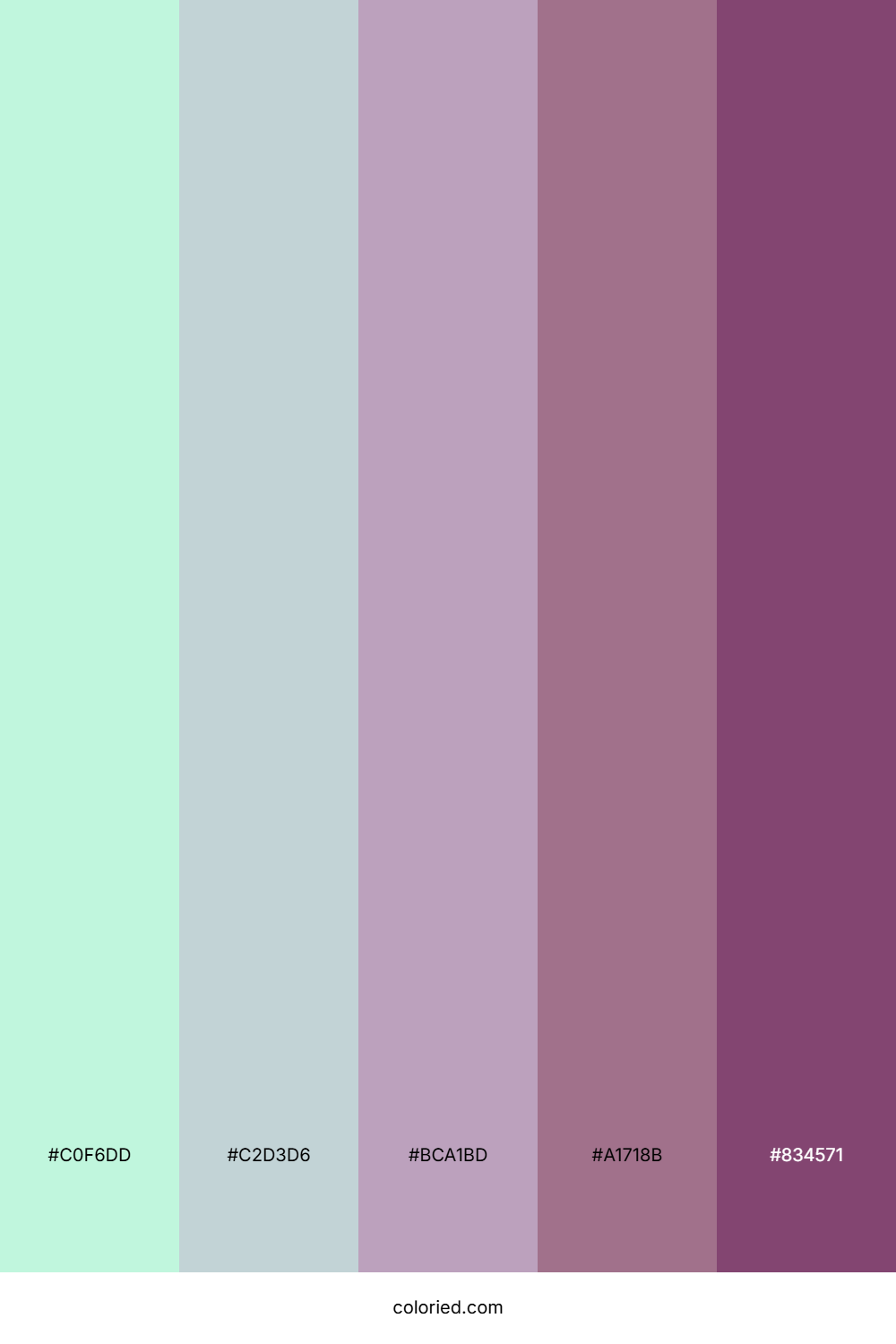 Frozen Petal Dawn Palette