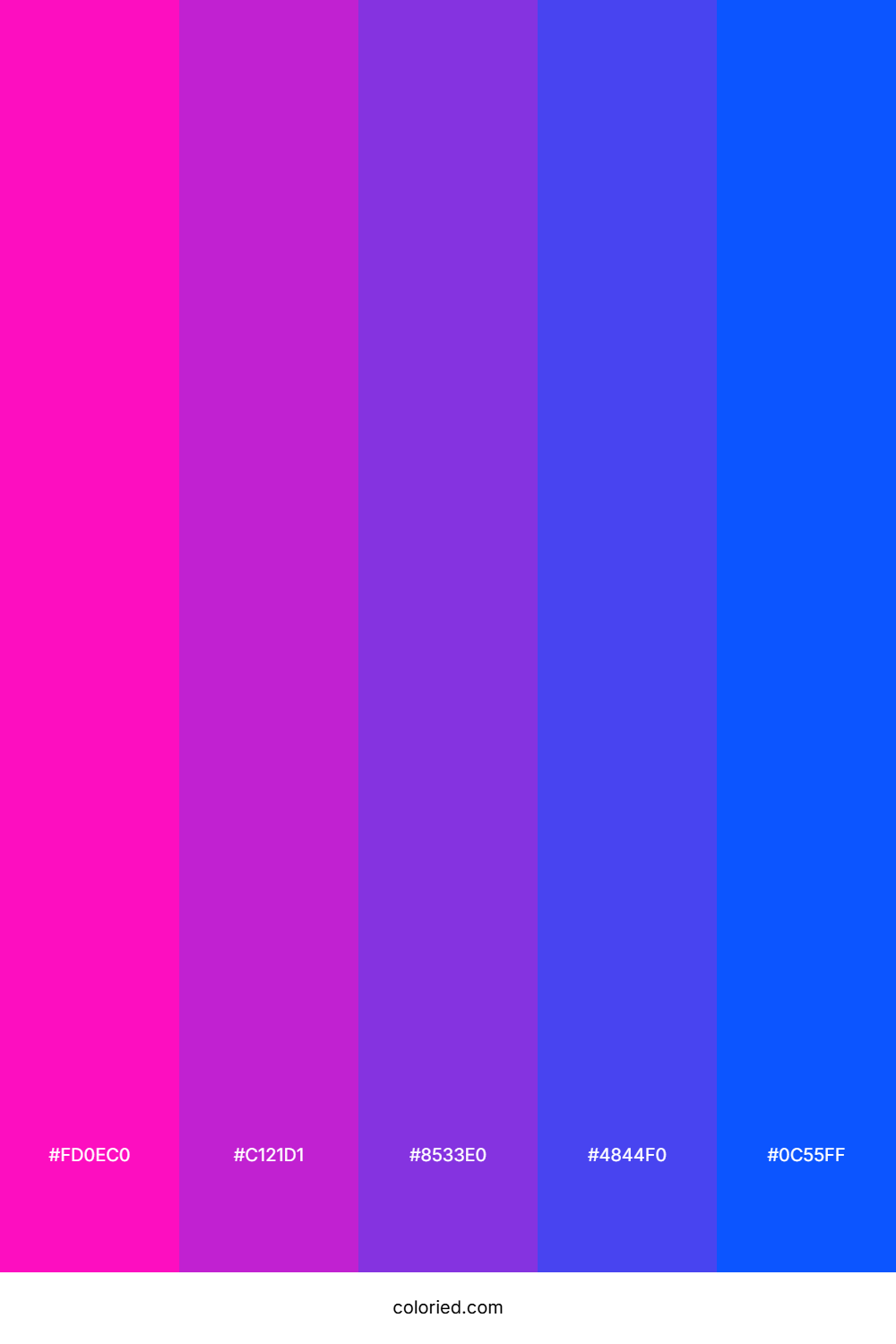 Fuchsia and Indigo Color Palette