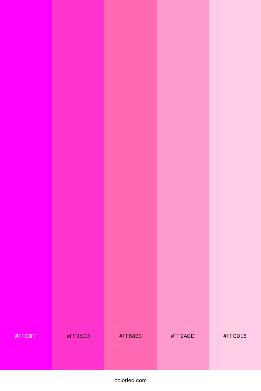 Fuchsia Pink Beauty Color Palette