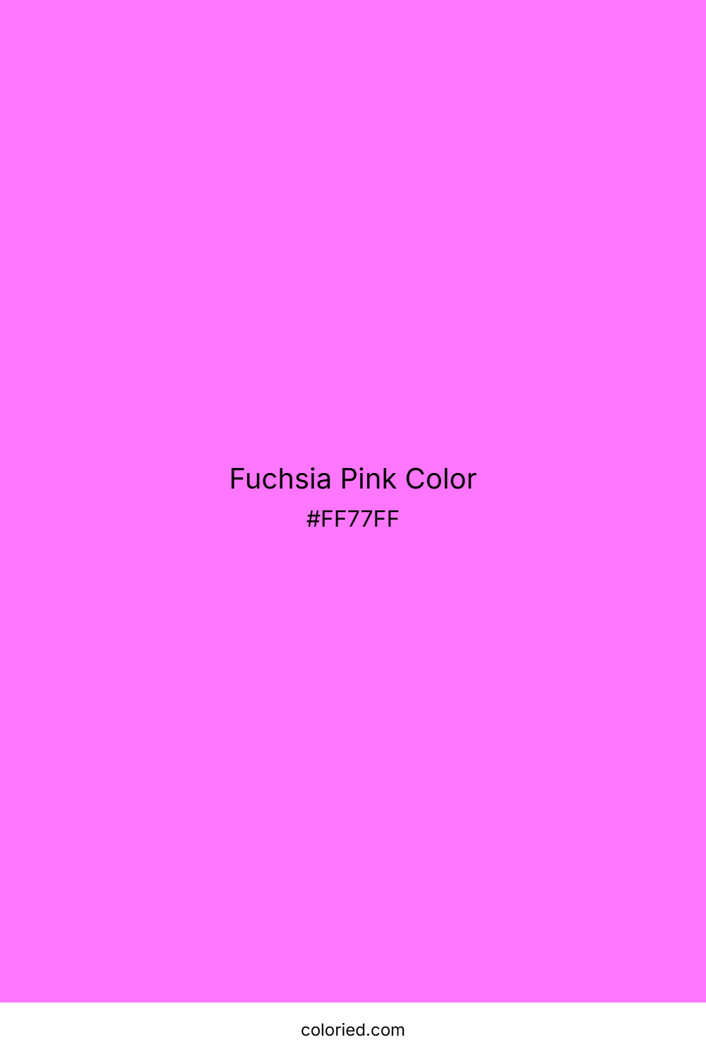 Fuchsia Pink Color