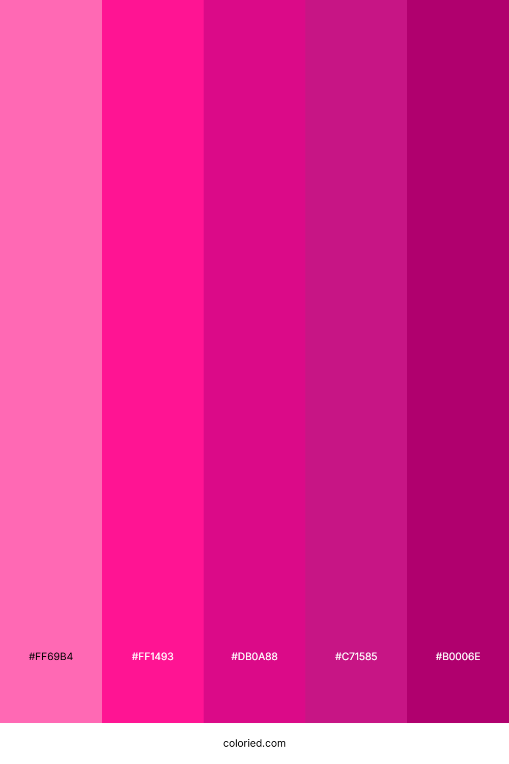 Fuchsia Pink Gradient Color Palette