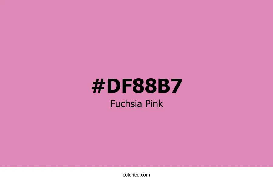 Fuchsia Pink Color
