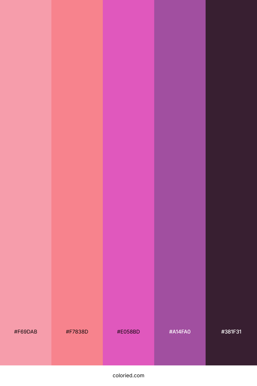 Fuchsia Sunset Glow Color Palette