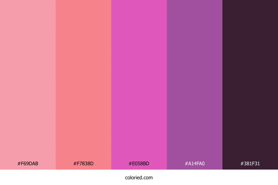 Fuchsia Sunset Glow Color Palette