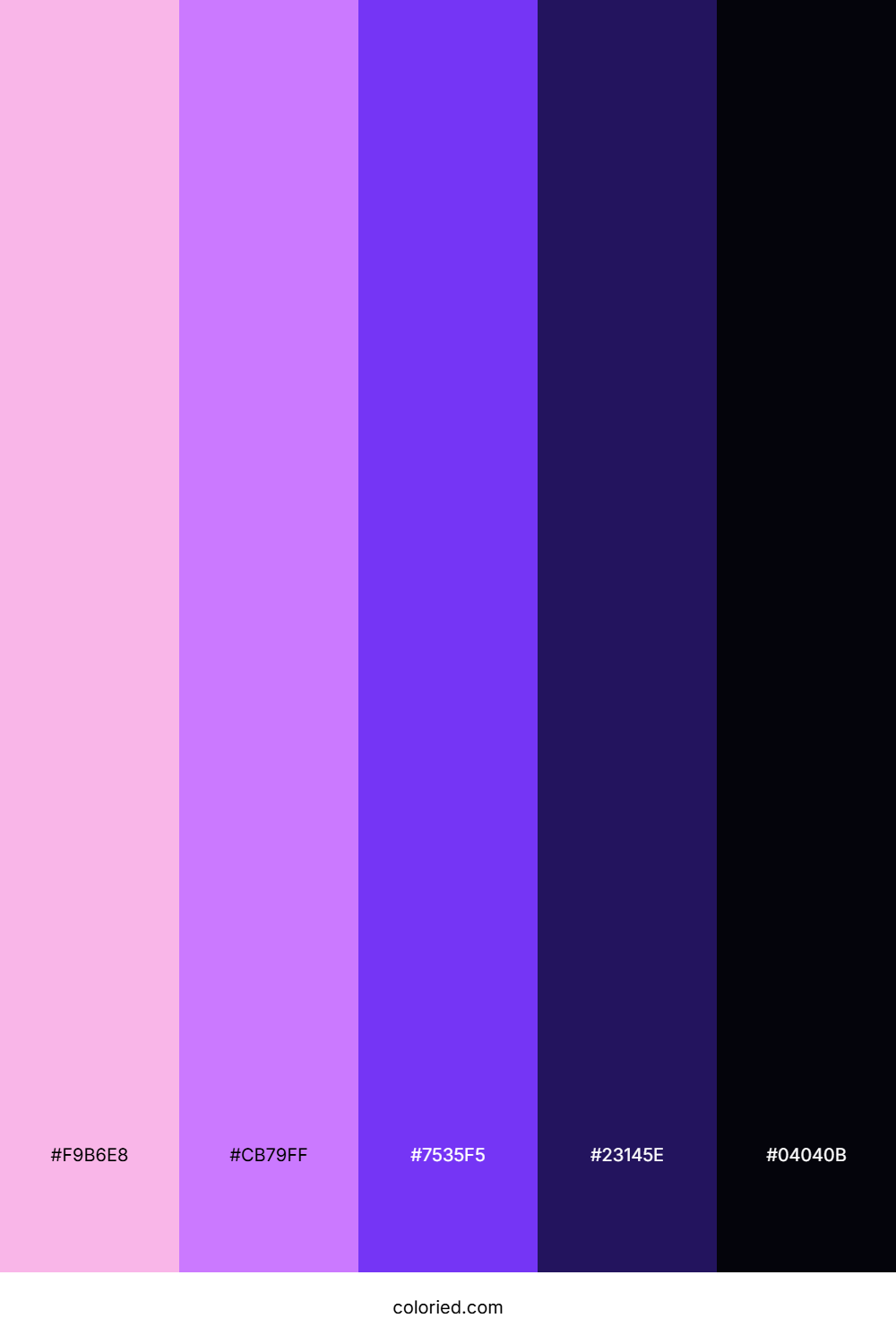 Fuchsia Violet Night Color Palette